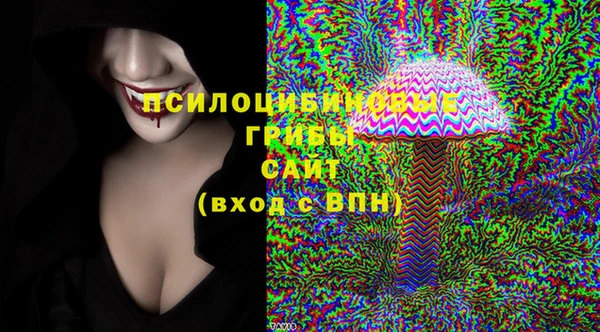 не бодяженный Алексин
