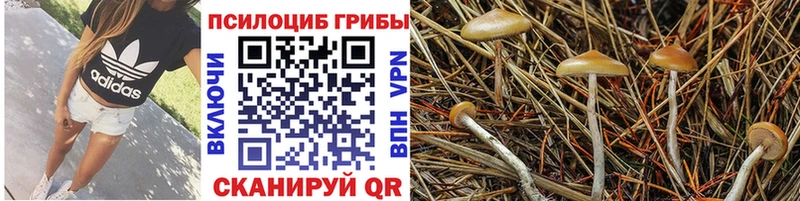 Псилоцибиновые грибы мухоморы  гидра онион  Хабаровск 